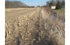 Property photo 2 - 44 Acres Offered in 3 Tracts